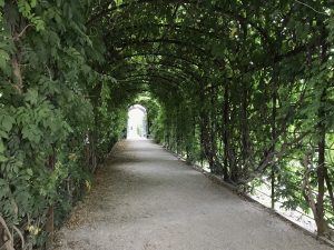 Ένας διάδρομος των κήπων του παλατιού στους οποίους μπορείτε να απολαύσετε μία βόλτα.