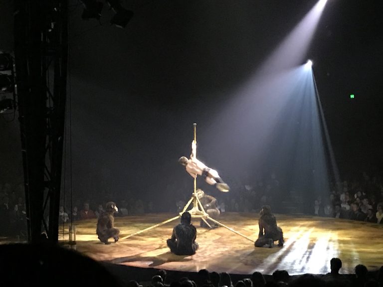 Cirque du solei