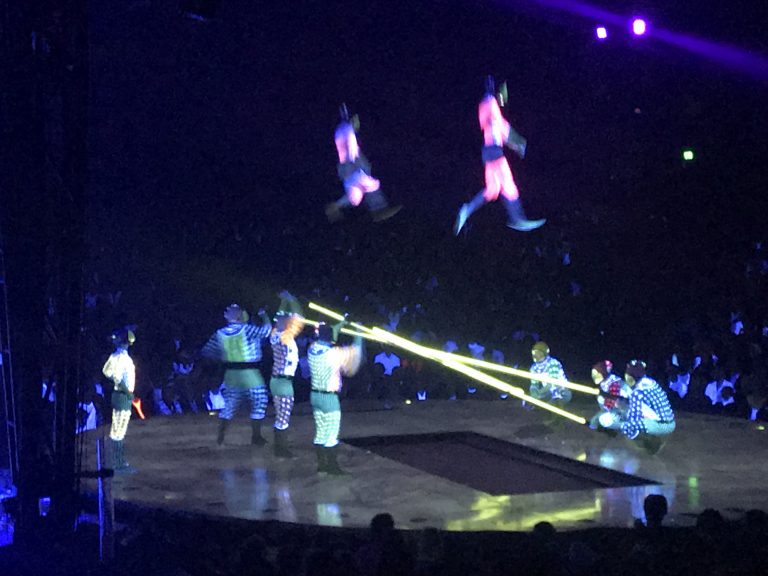 Cirque du solei