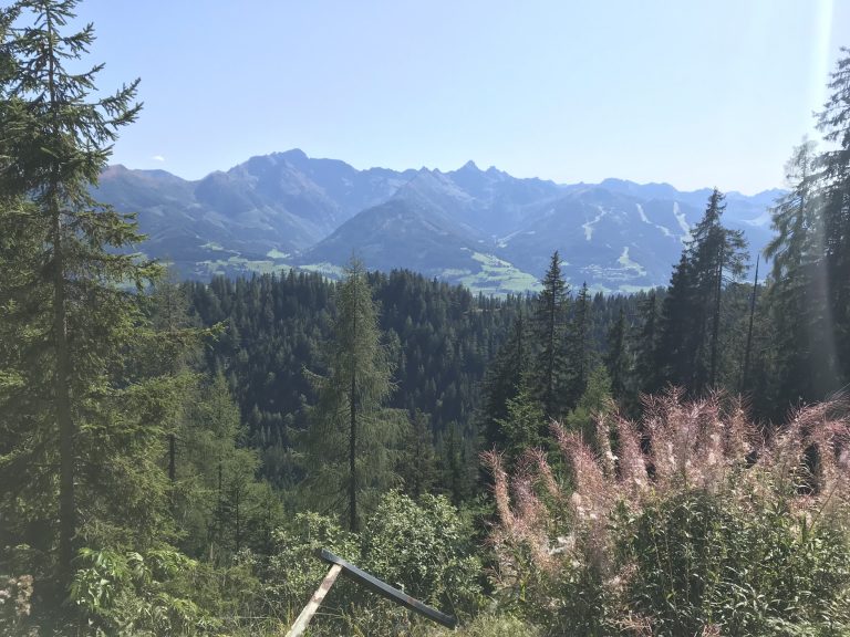 20190915_130538435_iOS