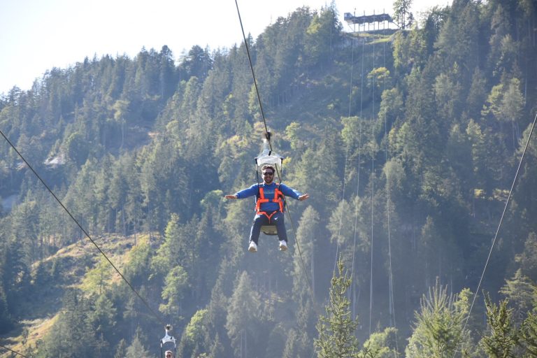 Zip Line