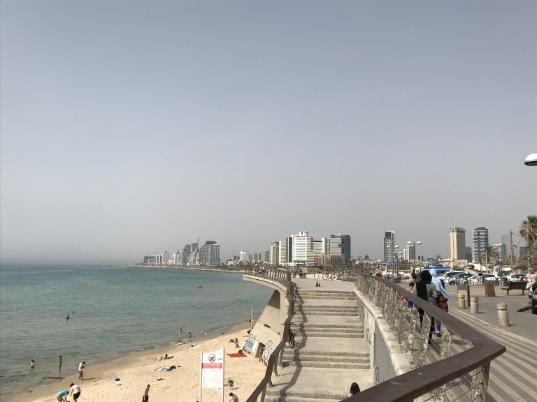 20190523_123508458_iOS