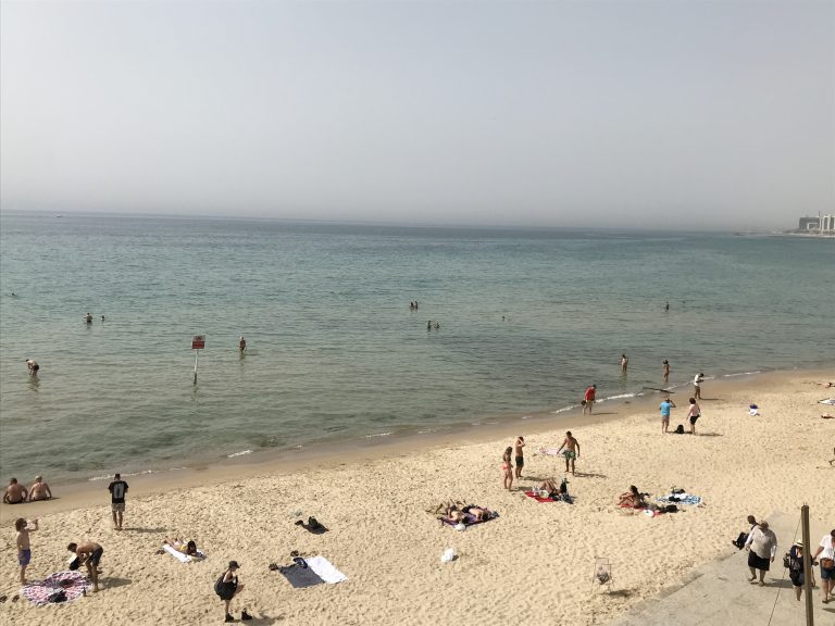 20190523_123511027_iOS