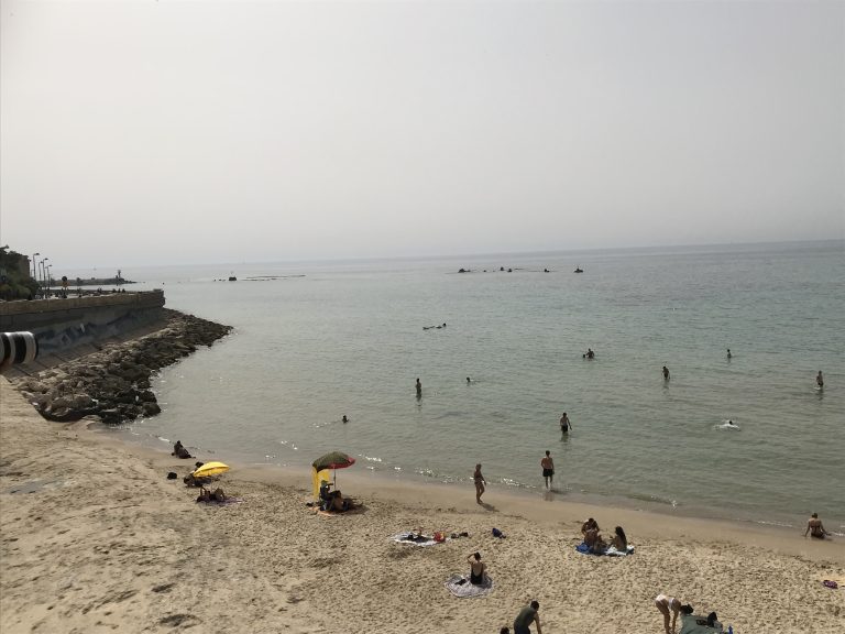 20190523_123513362_iOS