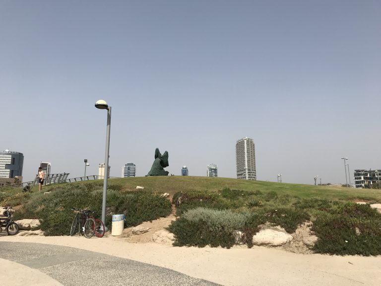 20190523_124650038_iOS