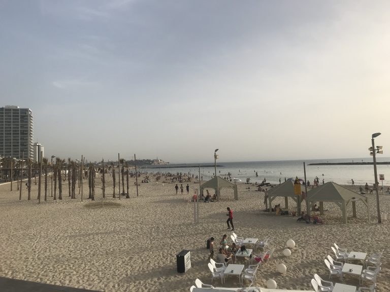 20190523_151215328_iOS