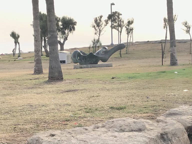 20190523_152909509_iOS