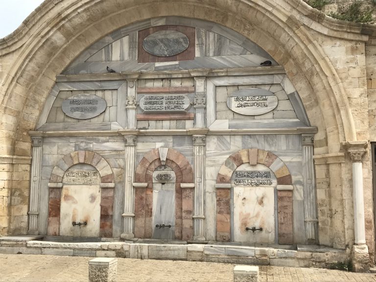 20190524_081836007_iOS