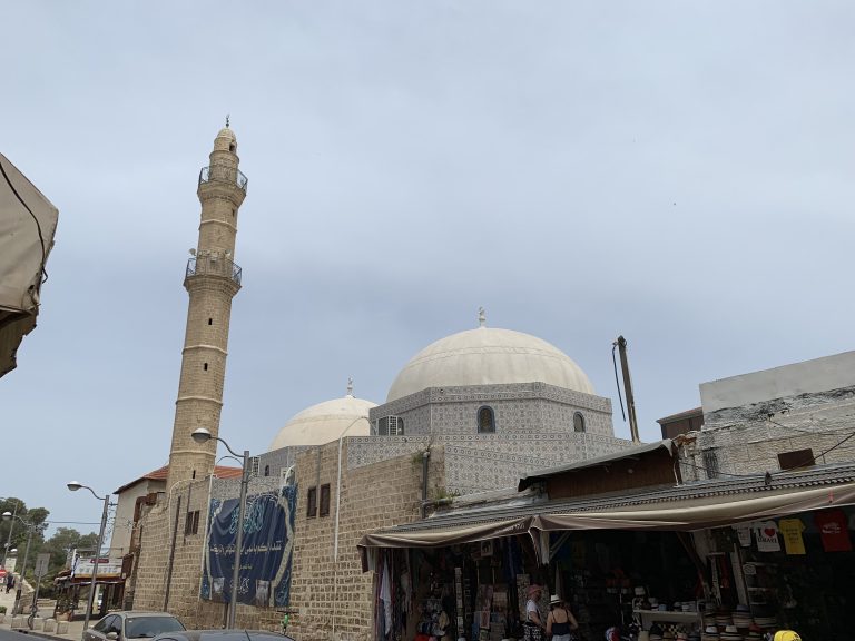 20190524_081842737_iOS