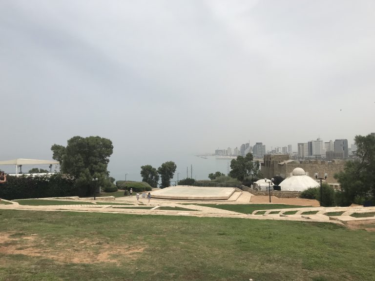 20190524_084451062_iOS