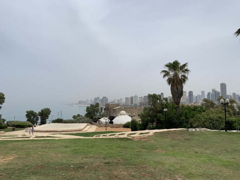 20190524_084458126_iOS