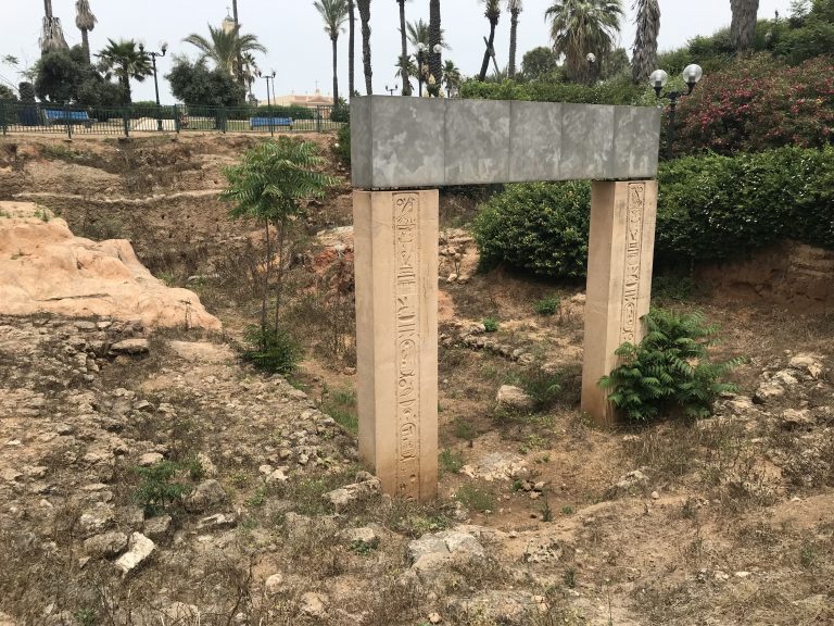 20190524_084630582_iOS