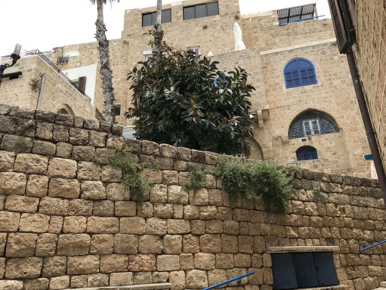 20190524_094116052_iOS