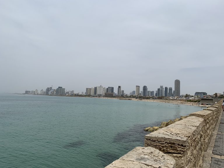 20190524_100458067_iOS